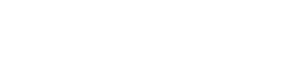 Brandon King